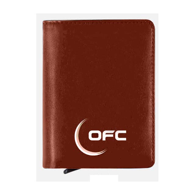 Giftology BORO Premium PU Cardholder & Wallet - Brown